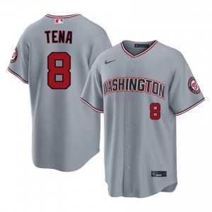Gray Jose Tena #8 WAS Nationals Baseball Stitched Jersey | Durable Men Fit 84060112