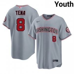 Nationals Jose Tena #8 Gray Youth Jersey | Stitch Replica Baseball Uniform 74251046