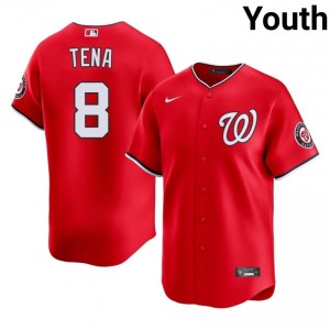 Red Jose Tena #8 WAS Nationals Baseball Stitched Jersey | MLB Youth Fit 92407304