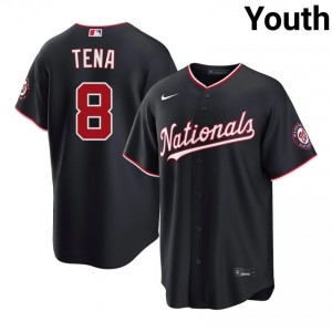 Jose Tena #8 Washington Baseball Jersey | Official Youth Navy Embroidery Edition 42760410